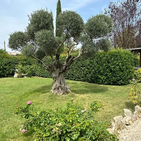 Konukevi La Perla Di