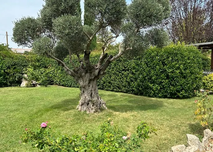 Pensjonat La Perla Di